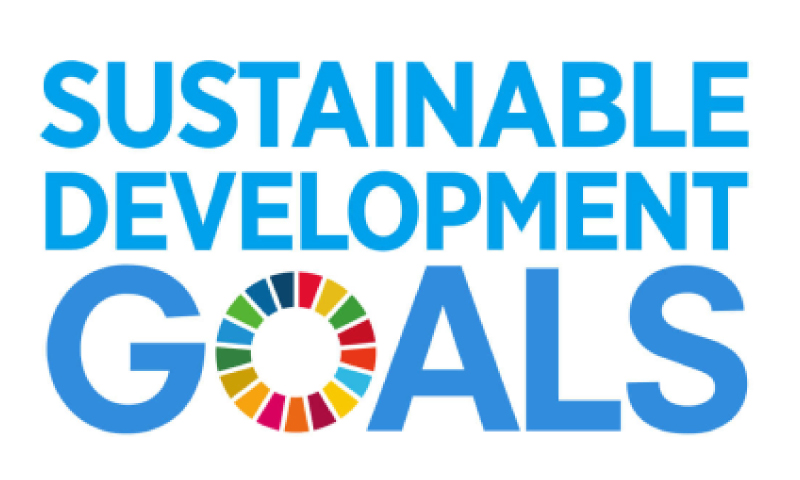 SUSTAINABLE DEVELOPMENT GOALS