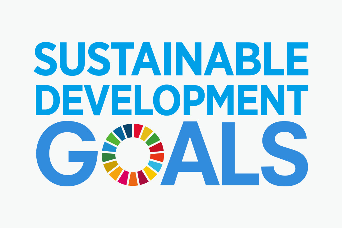 SUSTAINABLE DEVELOPMENT GOALS